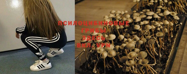 марки nbome Армянск
