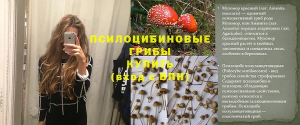 прущая мука Аркадак