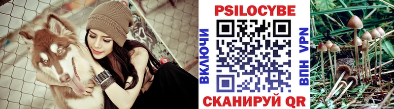 Галлюциногенные грибы мухоморы  Волгоград 