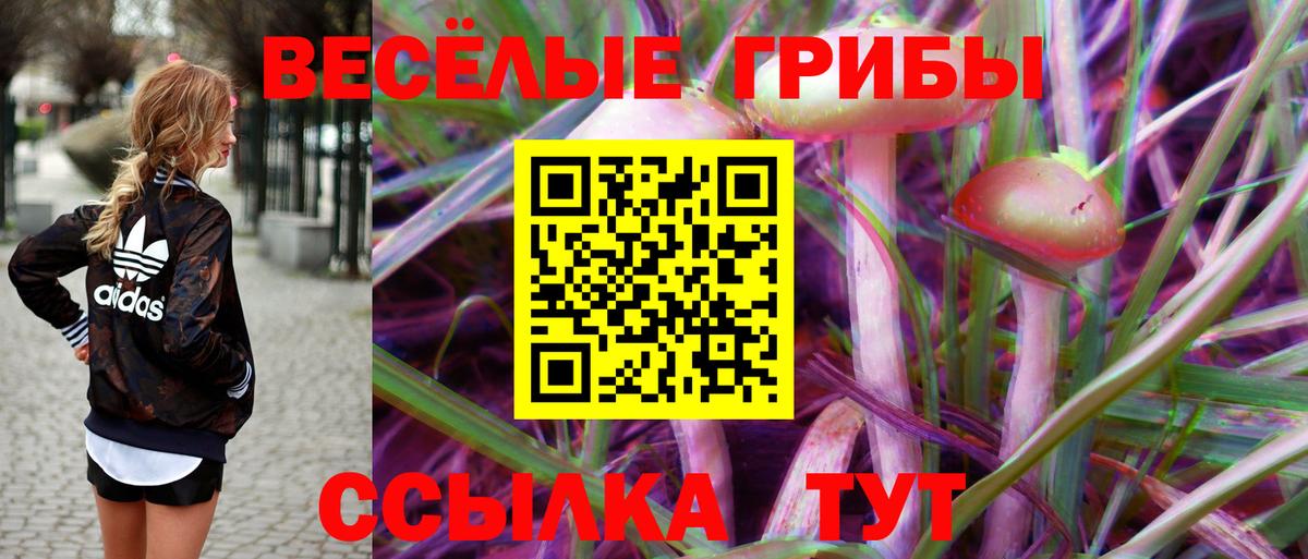 Галлюциногенные грибы ЛСД Волгоград